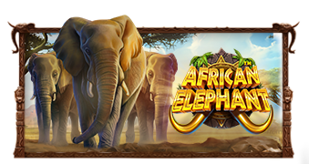 African Elephant™ review – Speel en win!