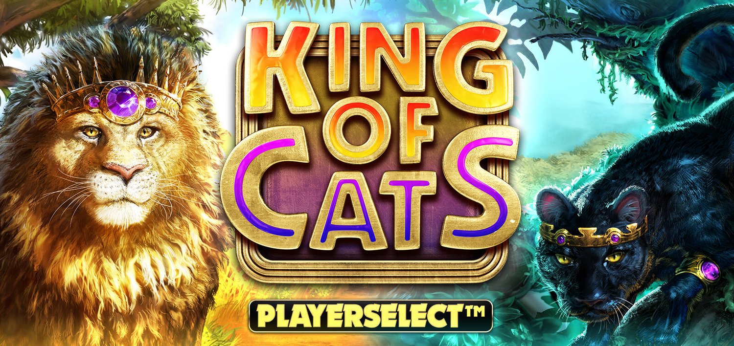 King Of Cats review