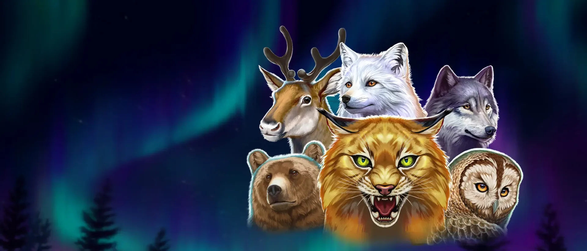 Wild North Radiant Skies GO Collect review
