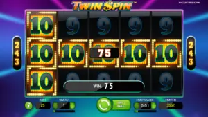 Wincombinatie twin spin
