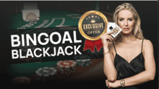 Background bingoal exclusive bingo evolution