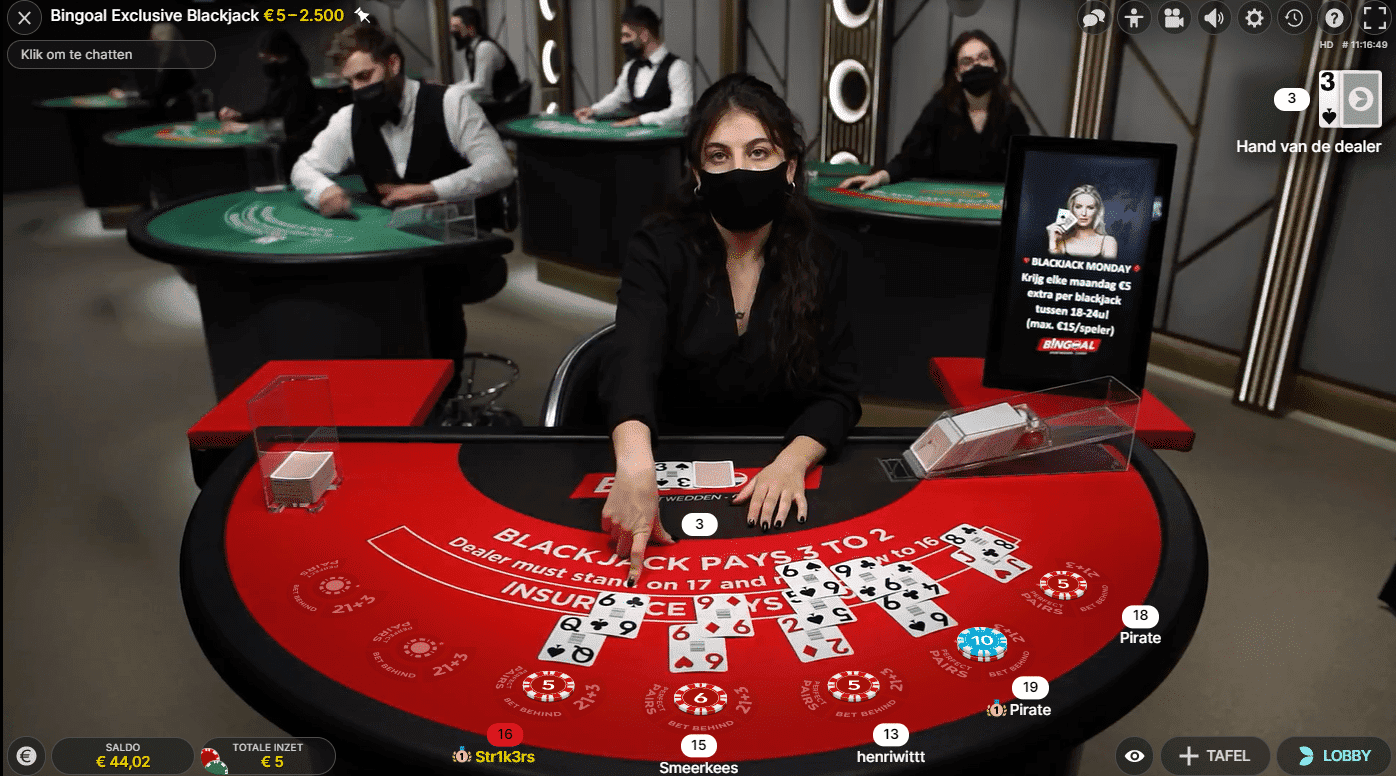 Smeerkees blackjack bingoal