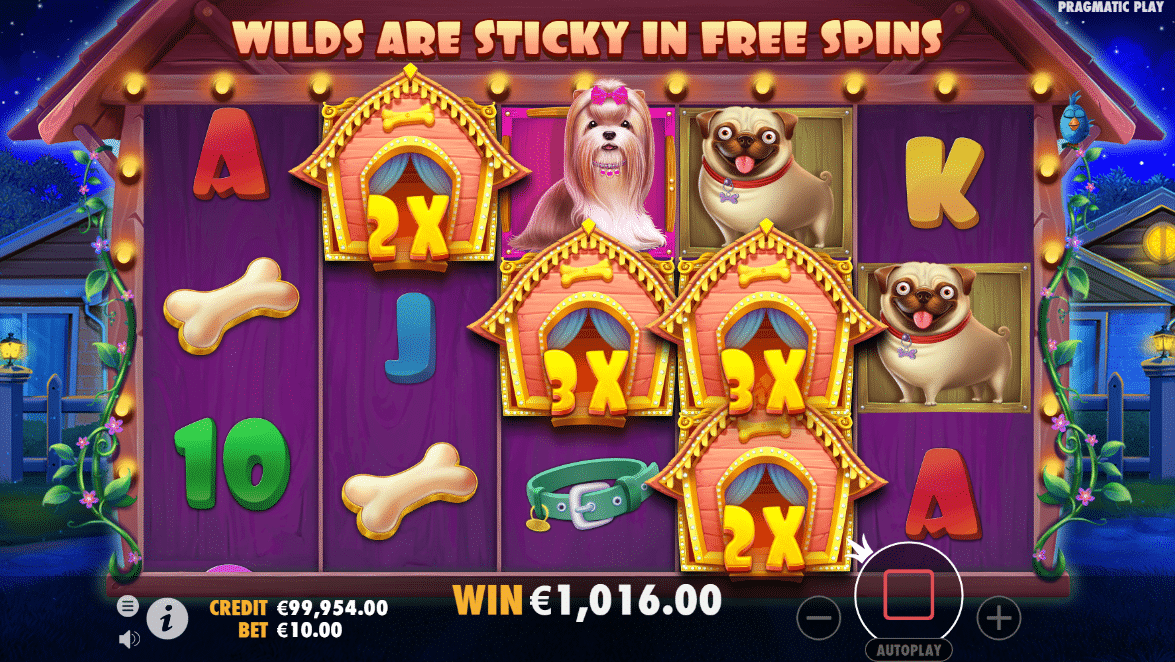 Sticky wilds - the dog house