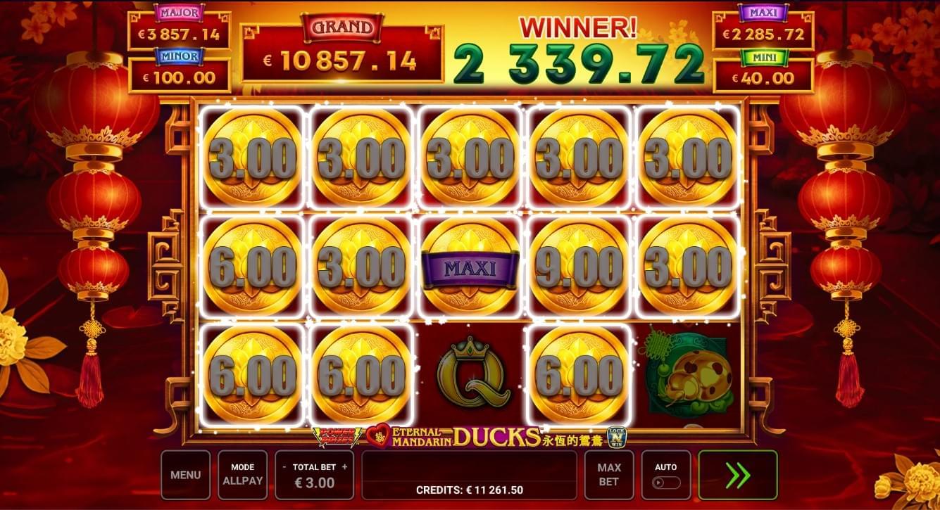 Eternal mandarin ducks