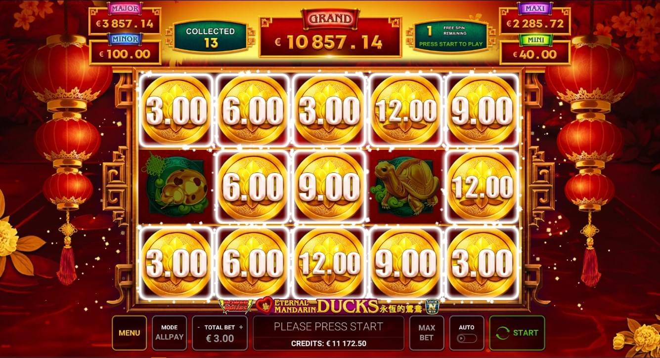 Power prize feature eternal mandarin ducks