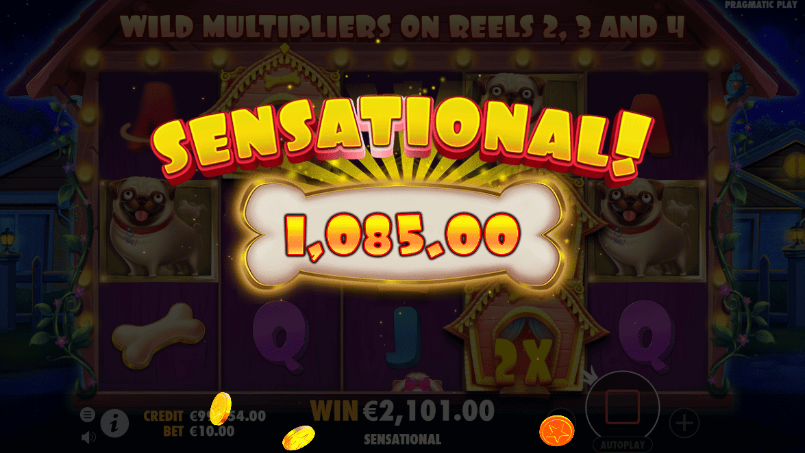 The dog house sensational win