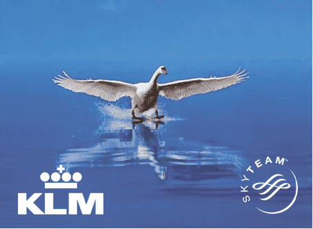 Klm zwaan