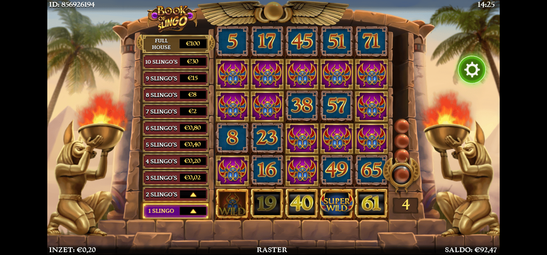 Super wild book of slingo