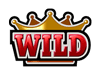 Wild symbool hit it big