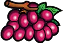 Grape