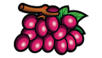 Grapes