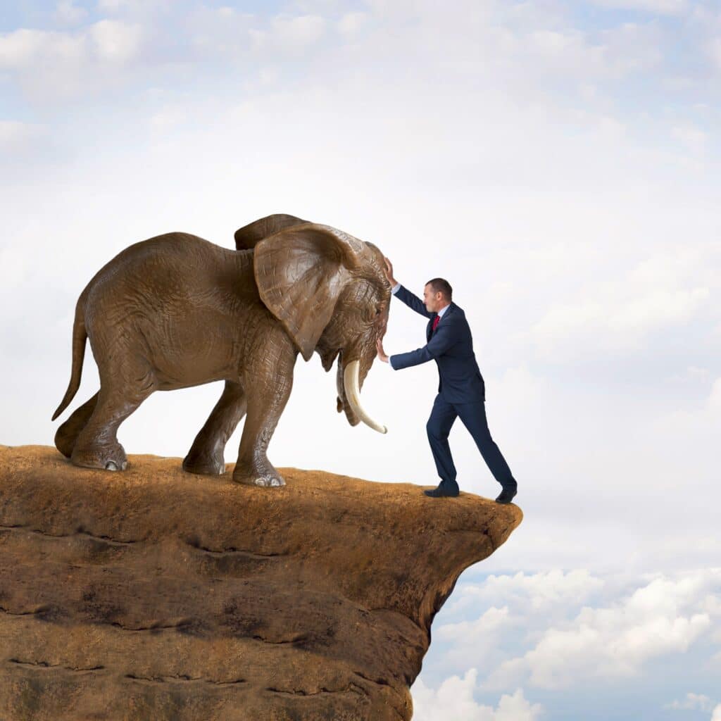 Shutterstock 456125788 scaled 1