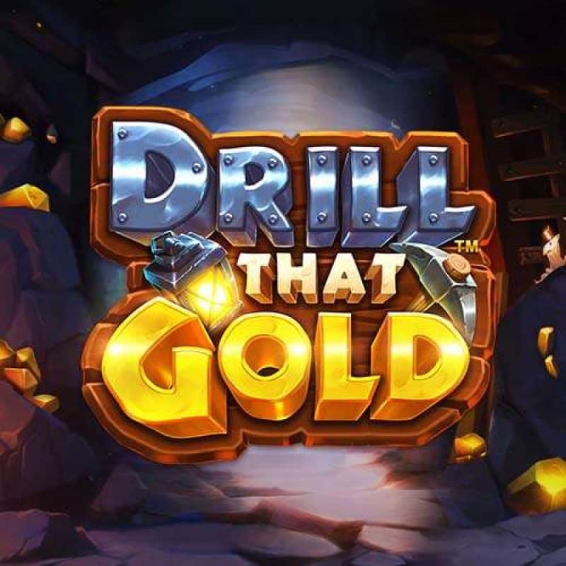 Drill that gold logo square