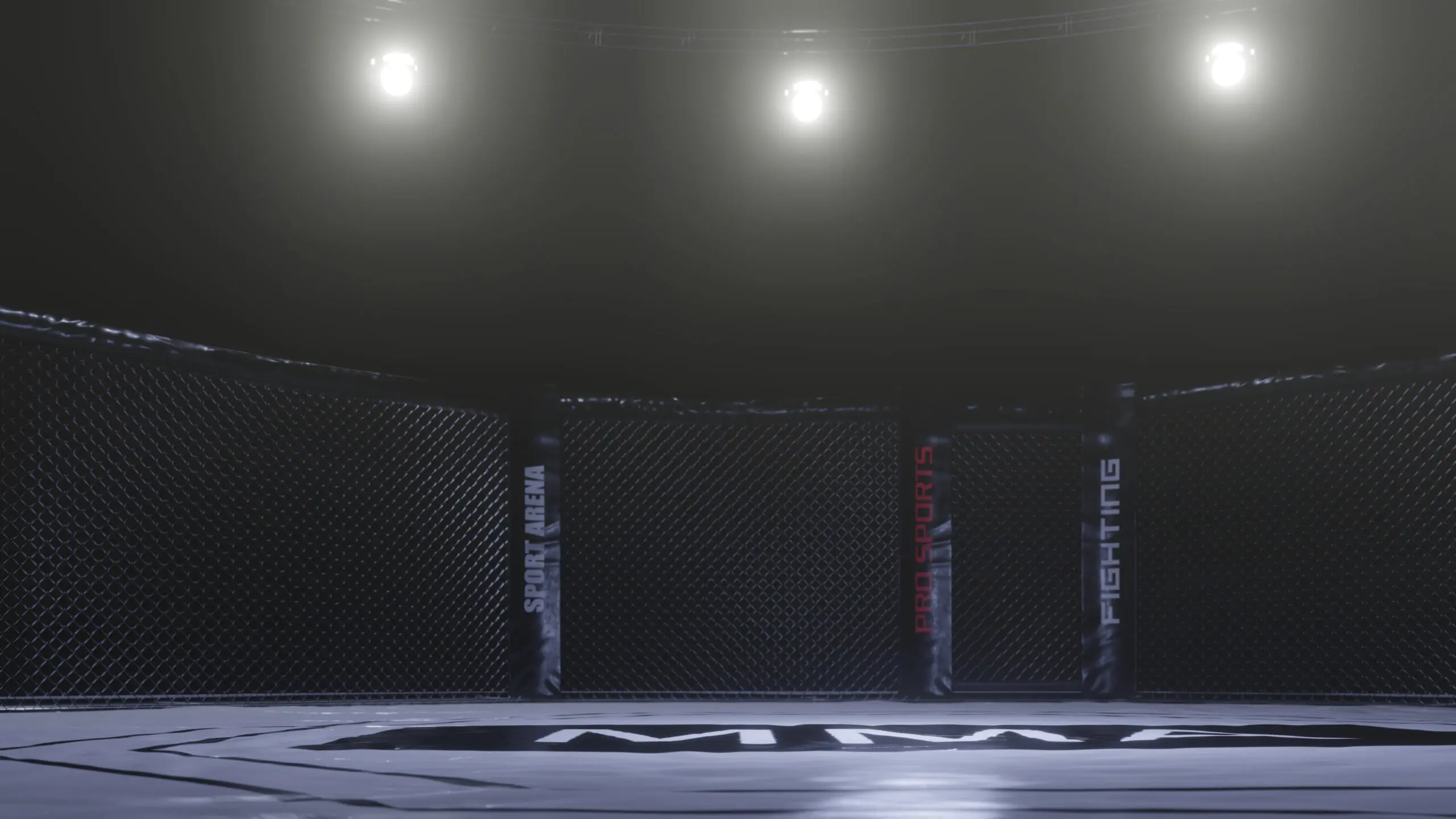 Mma cage fighting
