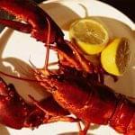 Preuvenemint kreeft 376x376