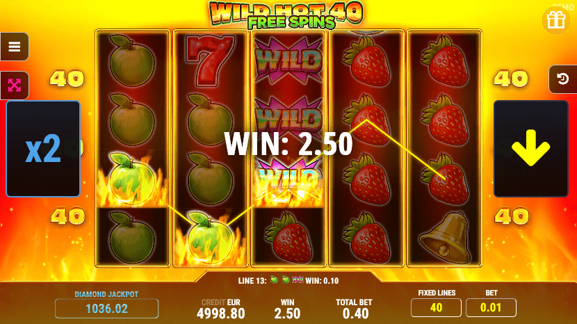 Wild hot 40 casino slot